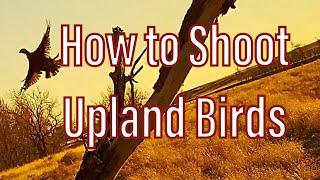 Tips on shooting upland Birds!