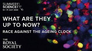 What are they up to now? Race against the ageing clock | The Royal Society