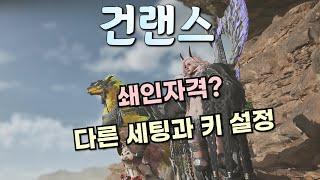 와일즈  건랜스 쇄인자격 효과가 있나?, 다른 세팅과 키 설정