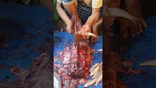 #fish #fishcutting #shortsvideo #shorts #shortvideo #viral #shortsfeed  #irenislamcooking