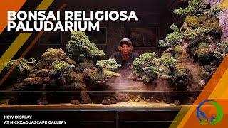 PALUDARIUM BONSAI RELIGIOSA | ANTING PUTRI | CONCEPT BY NICKZ AQUASCAPE | NEW DISPLAY