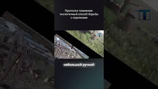 #топ #обзор #сельхозтехника