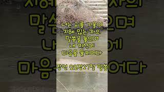 2025년 3월 14일