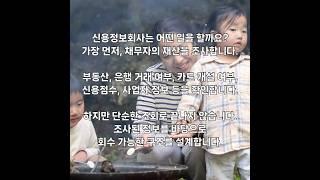신용정보회사 하는 일