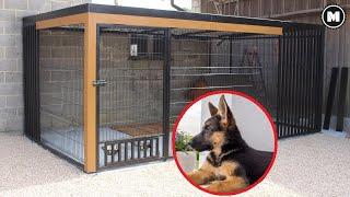 I am Building a Modern Dog Kennel