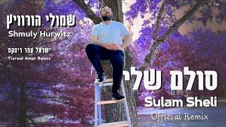 Shmuly Hurwitz - SULAM SHELI Official Remix | שמולי הורוויץ – סולם שלי רמיקס רשמי