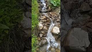 карпати#струмочки в карпатах#природа