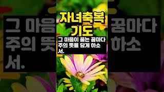 자녀를 위한 기도 / 자녀를 축복하는 기도 / 사랑하는 자녀를 위한 기도