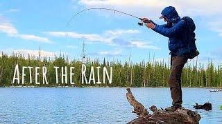 Solo Wilderness Trout Fishing Adventure (Backcountry Fishing Big Trout)