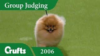 Pomeranian wins Toy Group Judging at Crufts 2006