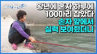 섬사람들에게 1년을 먹고 살게 해줄 만큼 돈 벌어다 준 효자 작물의 정체｜하루에 100마리 이상 잡았다는 금오도 낚시 여왕｜방풍나물｜당일 다녀오기 좋은 섬｜한국기행｜#골라듄다큐