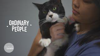 Saving lives, one cat at a time | Ordinary People