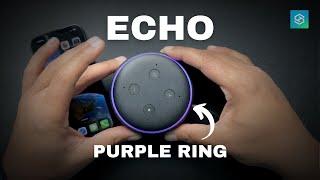 Alexa Echo with Purple Ring Light (What it Means & How to Fix)