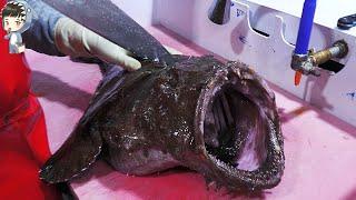 KOREAN STREET FOOD MONSTER MONKFISH ANGLER FISH SASHIMI POHANG SEAFOOD KOREA 12KG 아구 아귀 20201211