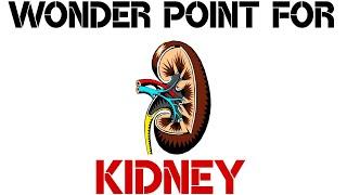 Wonder Point for Kidney