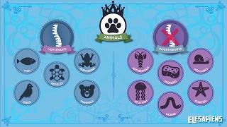 VERTEBRATE AND INVERTEBRATE ANIMALS