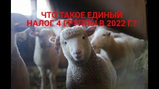 ЧТО ТАКОЕ ЕДИНЫЙ НАЛОГ 4 ГРУППЫ (ДЛЯ 2022 Г. ) ?