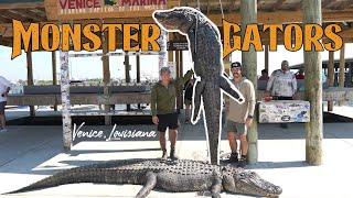 MONSTER Gator Hunting in Venice, Louisiana! | Southern Adventures | Ultimate Outfitters Ep. 2