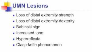 Anatomy Motor Exam: UMN Lesion Clinical Findings