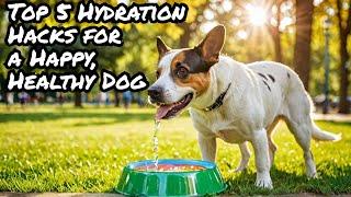 Top 5 Hydration Hacks for a Happy, Healthy Dog! #dog #doghealth