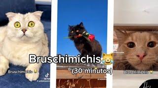 BRUSCHIMICHIS 30 minutos de risa! // #bruschimichis #humor