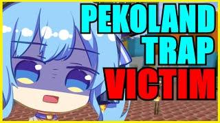 【Hololive】Suisei: Victim Of Pekoland Trap【Minecraft】【Eng Sub】