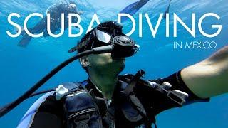 Mexican coral reefs diving | Scuba Diving in Cancun, Mexico