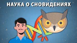 Все, что нужно знать о сне и сновидениях