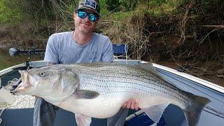 2 of the BIGGEST STRIPERS ever Caught - How to Book your TROPHY STRIPER Guided Trip