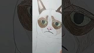drawing GRUMPY CAT