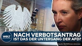 AFD-VERBOTSVERFAHREN: Bundestag spaltet sich - Das steckt hinter dem Parteiverbotsverfahren!