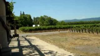 Napa Valley 2010