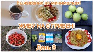 ЖИВУ НА 0 ГРИВЕН! День 8