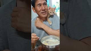 밥상머리 참견하는 방울이 #농부의일상 #농부고양이집사#시골고양이