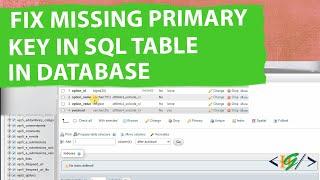 How to Fix Missing Primary Key in SQL Table in Database | PhpMyAdmin | WordPress