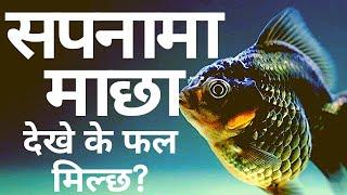 सपनामा माछा देखे के हुन्छ ? sapana ma macha dekhe k hunxa । sapanama maxa dekhe k huncha ।