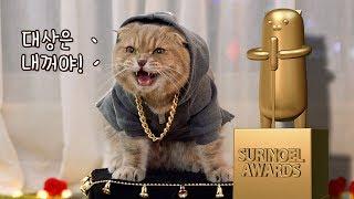 쓸데없이 고퀄리티 고양이 시상식 -  2017 수리노을 어워즈 + 깜짝축하공연