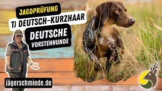 1) Deutsch-Kurzhaar (Deutsche Vorstehhunde) -  Wissen für deine Jagdprüfung