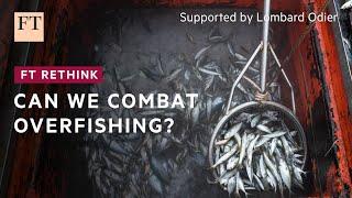 Is it possible to sustainably satisfy the world's hunger for fish? | FT Rethink