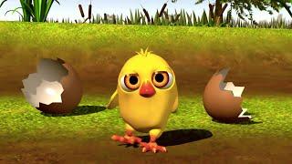 The Little Chick Cheep | Zenon the Farmer