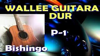 BEST OLD OROMO GUITAR SONGS  BISHINGO  Part 1