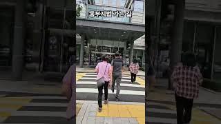 서울 문정 동부지법 경매 법정 가는 길  #동부지법 #경매법정 #홍소장 #상가투자비밀노트 #지역분석
