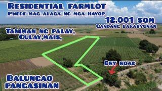 Lot#592 gandang gawing farmhouse alagaan ng hayop,taniman ng palay,gulay,mais, 1.8M selling price