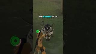 The EASIEST Way to Take Down Lynels in Tears of the Kingdom!  #zelda #totk #totktips #lynel