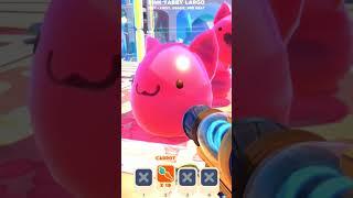 Pink slimes eating all my food #slimerancher2 #slimevideo #slimerancher #slimerandomthings