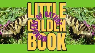 Little Golden Book Wonders of Nature: Come Journal with Me!