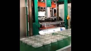 Automatic Vacuum Forming Thermoforming Machine Pvc Pet Tray Former #machine #factoryproducts#factory