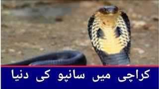 Do Darya #dodaryakarachi #snake