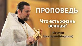 Что есть жизнь вечная?