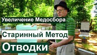 Пасека #80 Отводки Старинный метод , Увеличение Медосбора | Пчеловодство для Начинающих